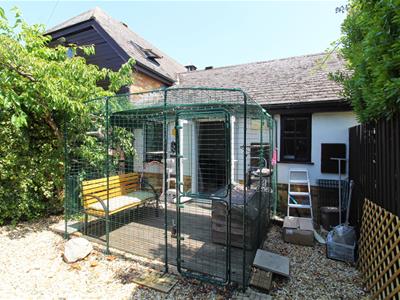 Picture 9